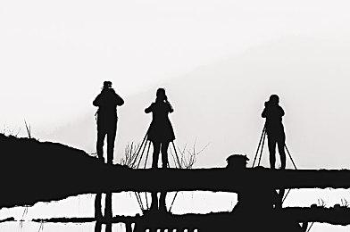 爆料显示《艾尔登法环》后续还会迎来一系列DLC